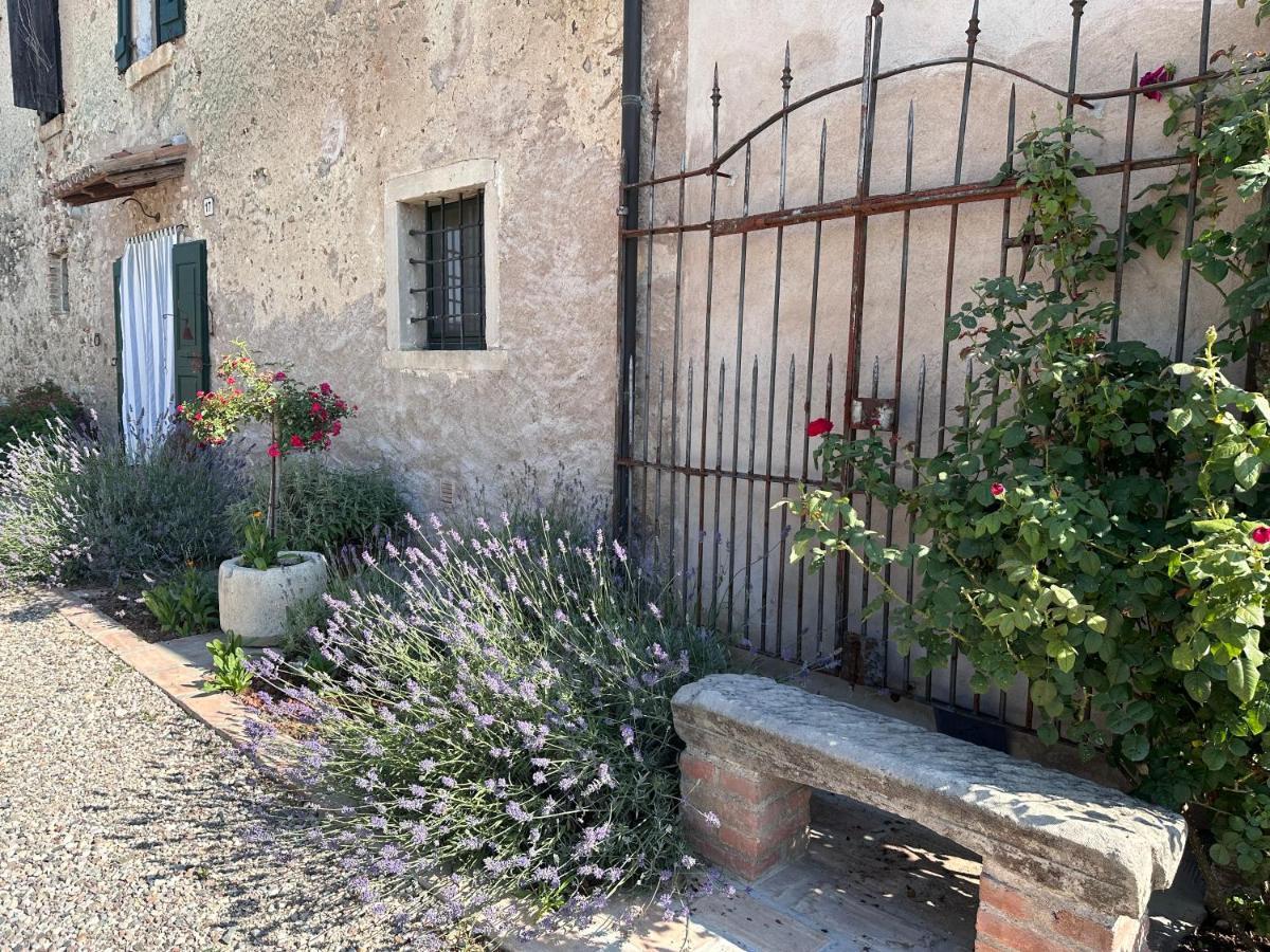 Ca Nova Agriturismo Castellaro  외부 사진