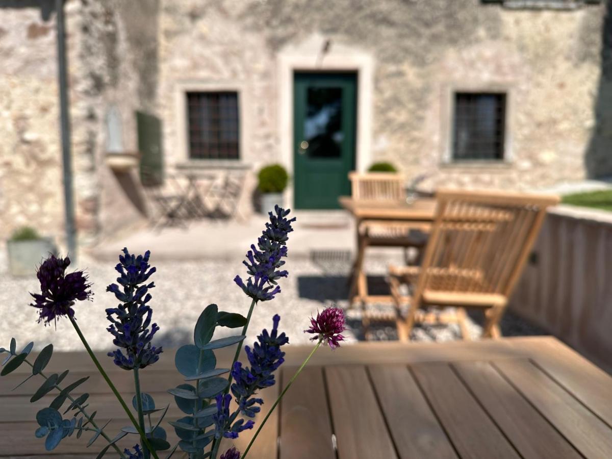 Ca Nova Agriturismo Castellaro  외부 사진