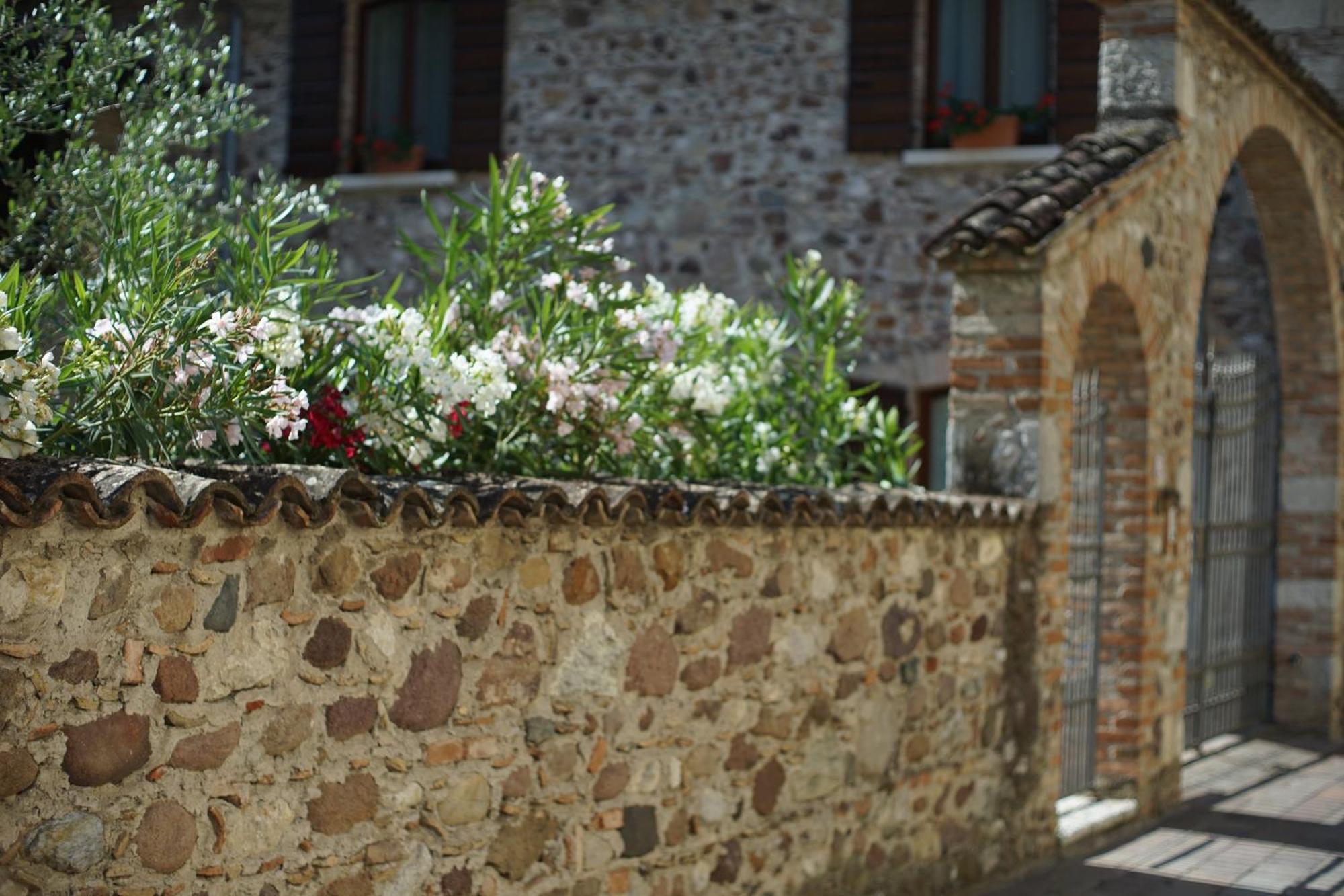 Ca Nova Agriturismo Castellaro  외부 사진