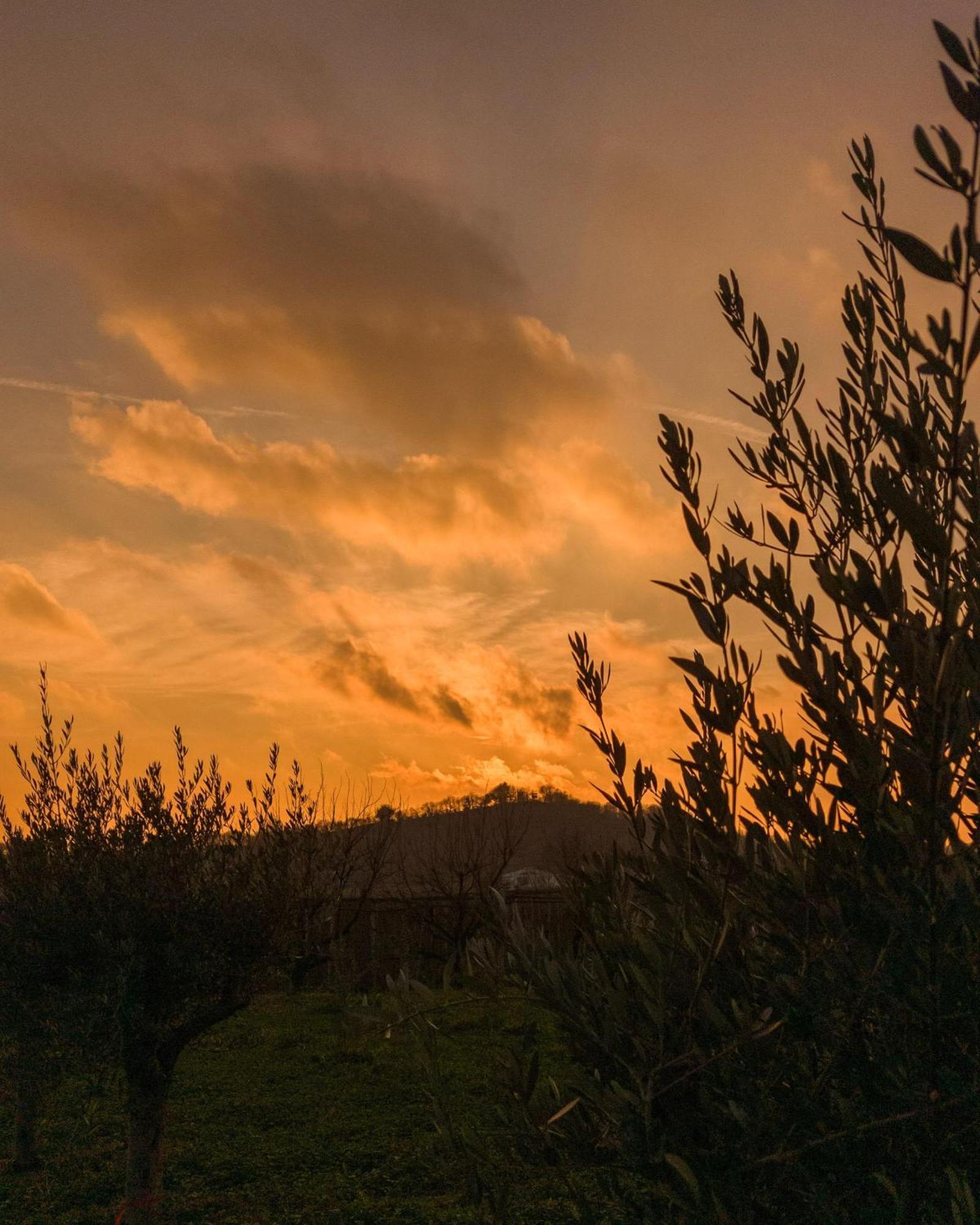 Ca Nova Agriturismo Castellaro  외부 사진