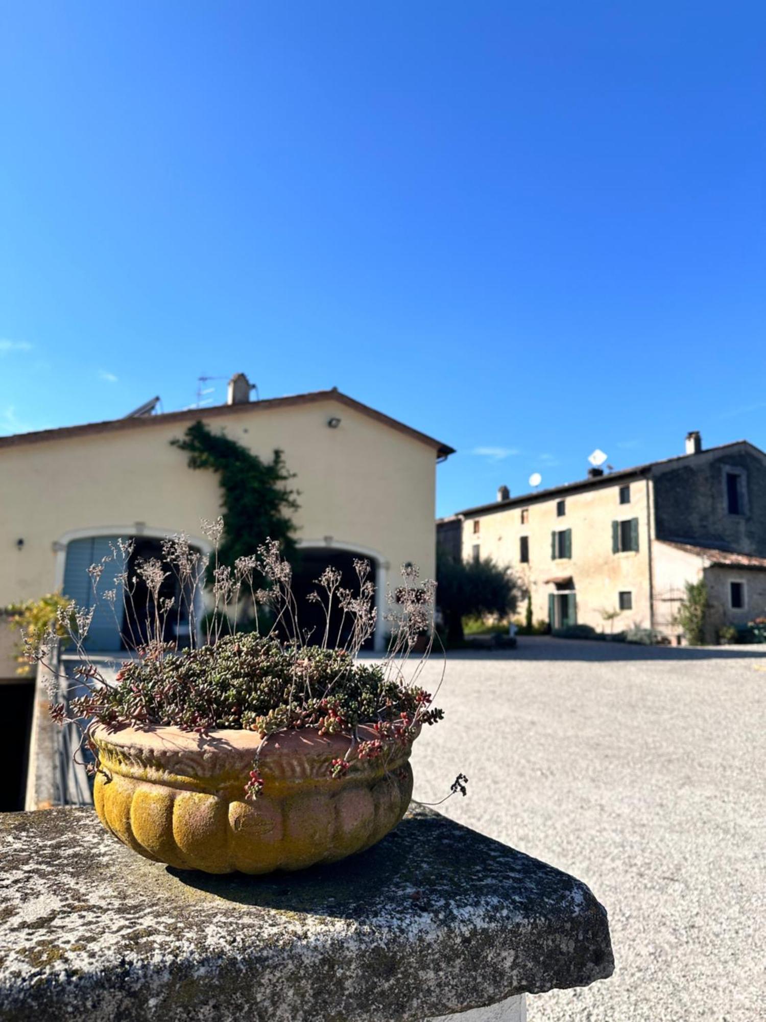 Ca Nova Agriturismo Castellaro  외부 사진