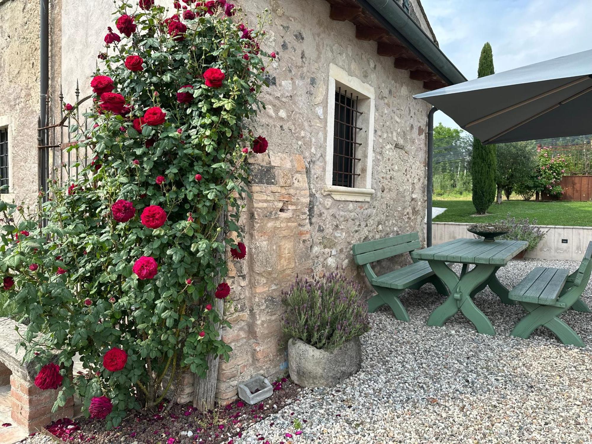 Ca Nova Agriturismo Castellaro  외부 사진