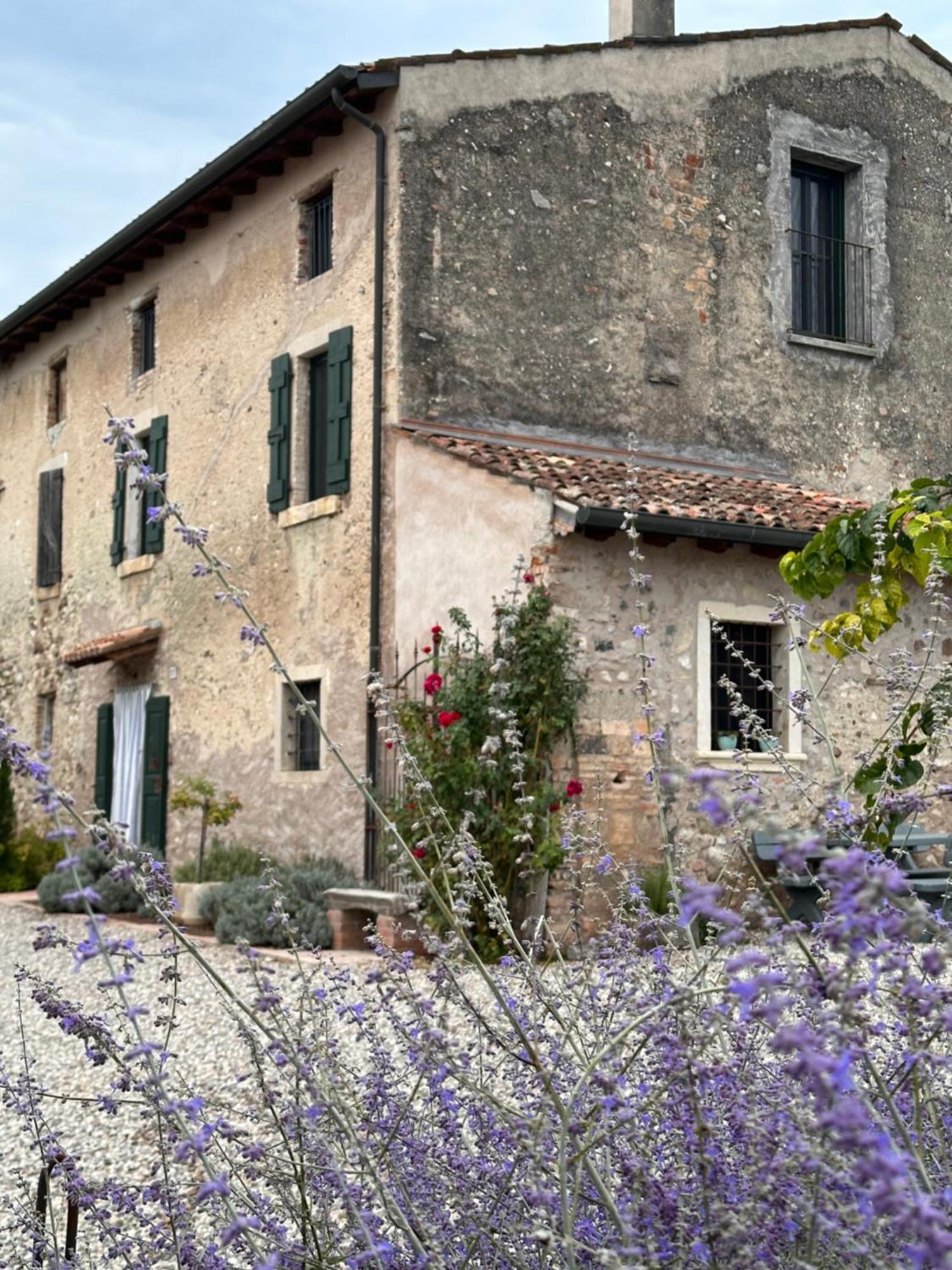 Ca Nova Agriturismo Castellaro  외부 사진
